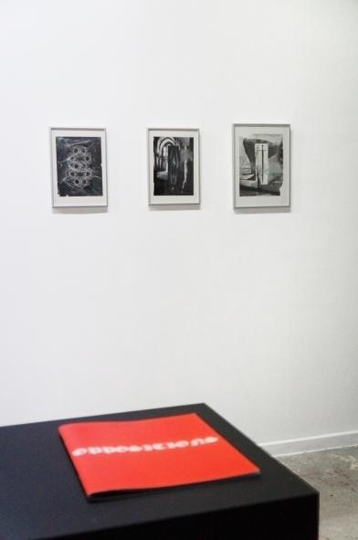 Elodie Lesourd, vue d'exposition, « Freux Follets », extraits des œuvres de Julien Langendorff « Gutter Magik I, II, III » et Yuki Higashino « Oppositions 666 » , BBB centre d'art, 2016