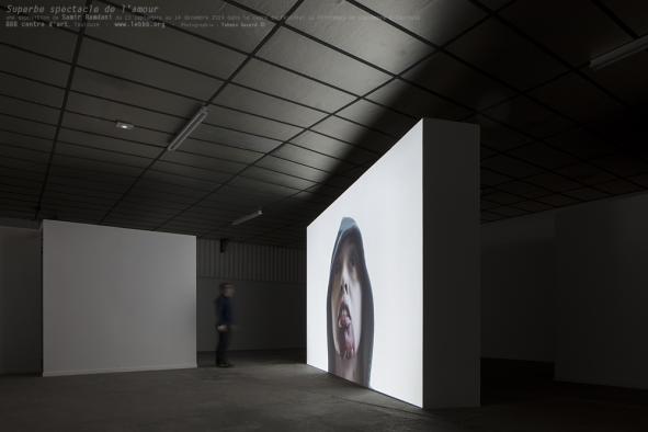 Samir Ramdani, « Superbe spectacle de l'amour », installation et vidéo, co-production BBB centre d'art - Festival Printemps de septembre, 2016 © Yohann Gozard