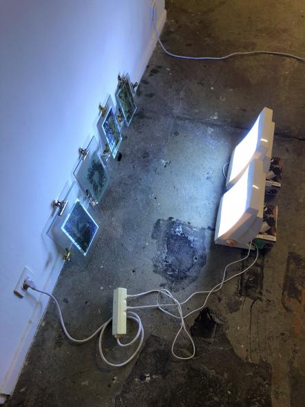 Atelier cyanotype 